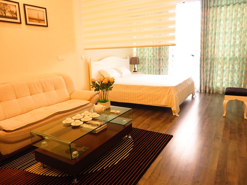 Attractive 1 bedroom apartment rental in Lancaster Hanoi, $850