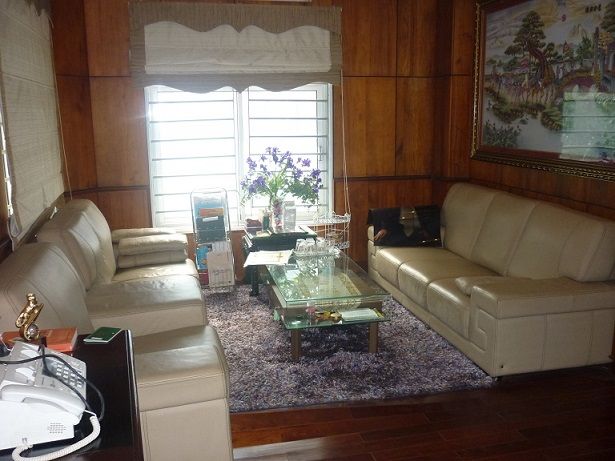 Bright 4 fully furnished villa for rent in Me Tri, My Dinh, Nam Tu Liem district.