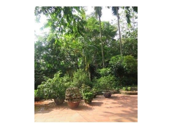 Green fully furnished 4 bedroom house to rent in Ngoc Thuy, Long Bien district 5