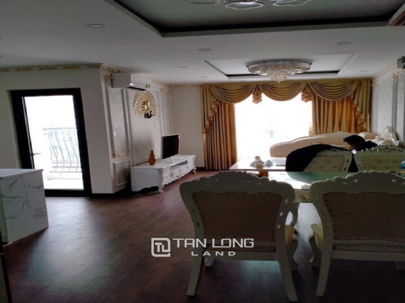 MODERN APARTMENT IN AN BINH CITY FOR RENT 10