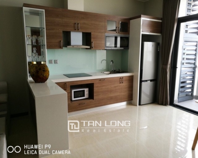 Nice apartment in Trang An complex, Cau Giay district, Hanoi for rent 2