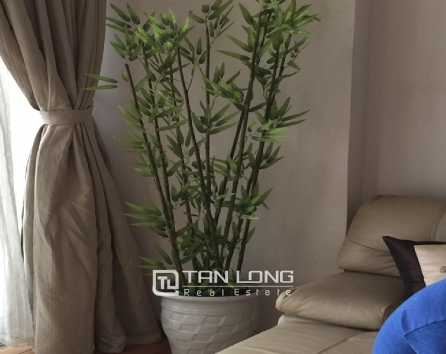 Nice apartment with 2 beds for rent in Dolphin Plaza, Hanoi 5