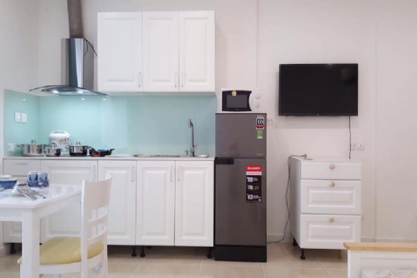 Nice Studio Apartment for Lease in Vinhomes D Capital Tran Duy Hung