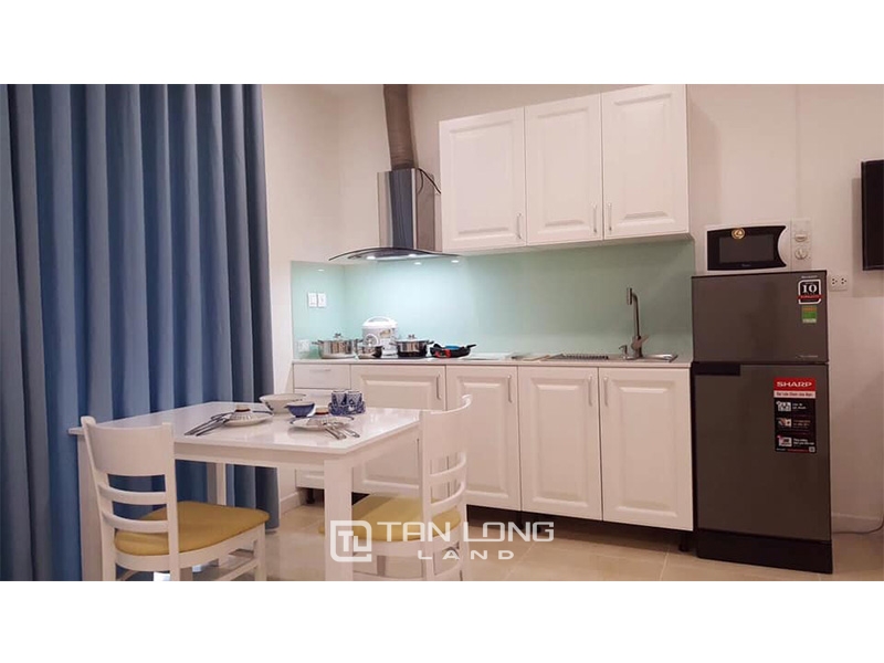 Nice Studio Apartment for Lease in Vinhomes D Capital Tran Duy Hung 3