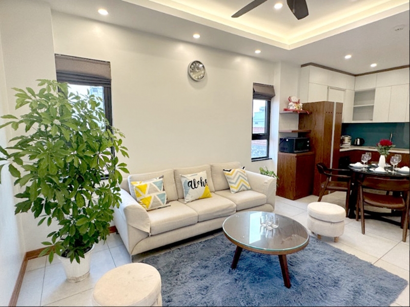 Stylist apartment for rent in Trinh Cong Son Tay Ho 3