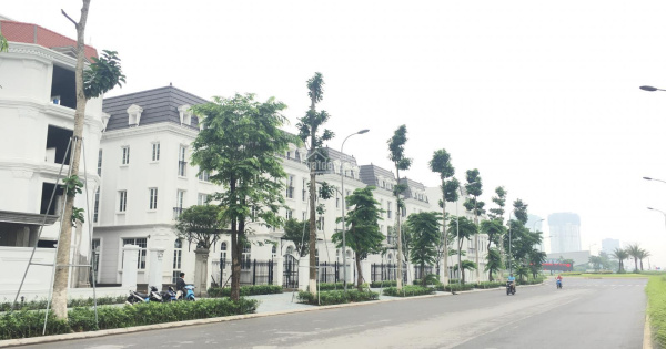 Shophouse for  rent in Embassy Garden