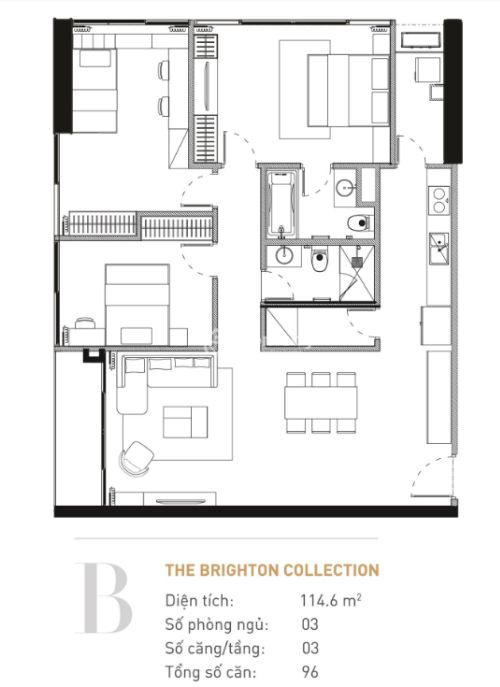 The Brighton Collection